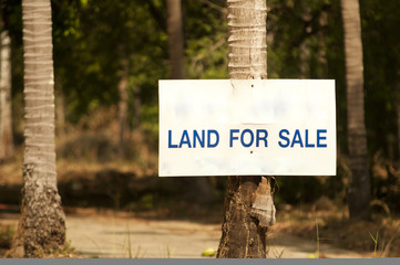 Fototapeta premium land for sale sign