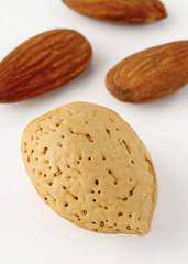 closeup shell almond