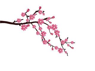 Zweig mit rosa Blüten