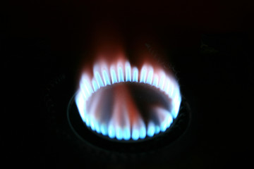 Fuel and Power Generation