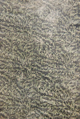 vintage book cover ornamental frazzle bacground