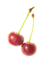 Red cherry