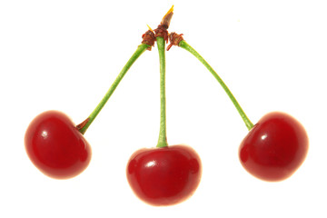 Red cherry