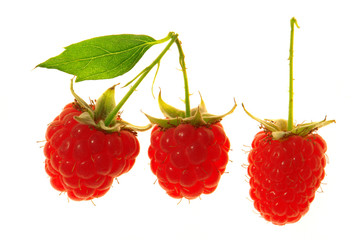 Raspberry