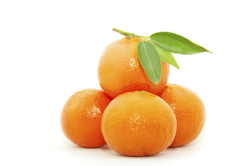 tangerine