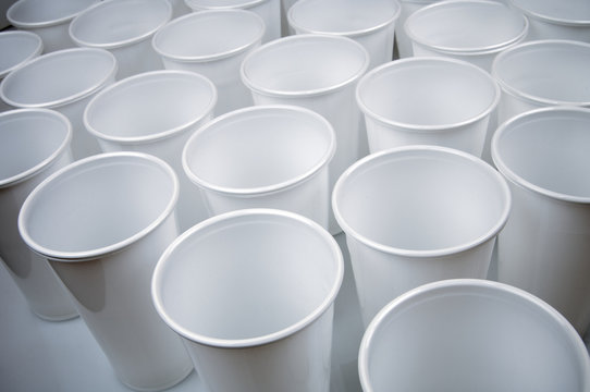 disposable dishes