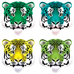 vector set of colorful tiger heads