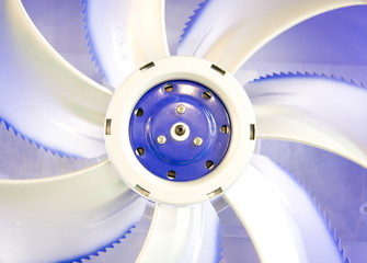 fan texture