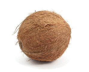 coconut