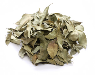 curry leaf, indian spice