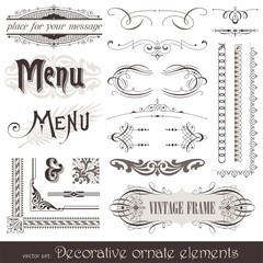 Vector ornate design elements & calligraphic page decor