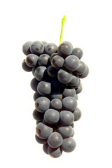 grapes
