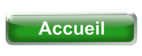 accueil sur bouton métal rectangle vert