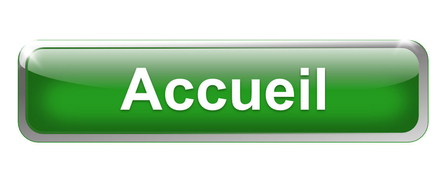 accueil sur bouton m&eacute;tal rectangle vert