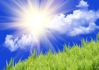 Obraz na płótnie Canvas Green grass with dew shined with a sunlight