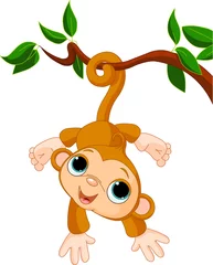 Photo sur Plexiglas Zoo Bébé singe sur un arbre