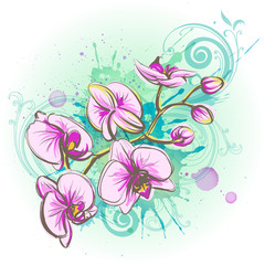 Orchid flower on a watercolor background