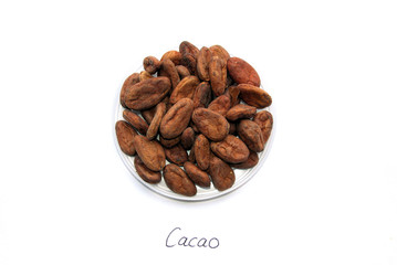 fèves de cacao