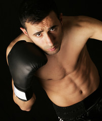 Boxer