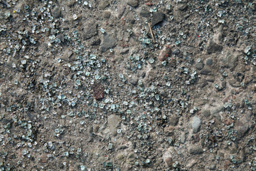Glassplitter