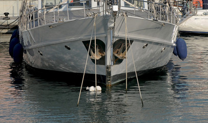 gray yacht
