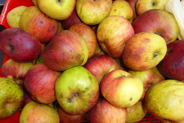 Bio Äpfel