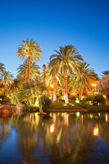 Obraz premium Palm trees during sunset