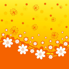 vector illustration of an orange background with daisies