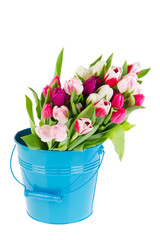 Colorful bouquet tulips in bucket
