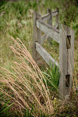 wooden fence in field