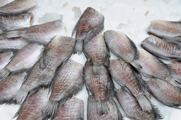 Gourami fish.