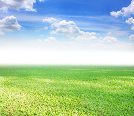 Fototapeta na wymiar grass and perfect sky