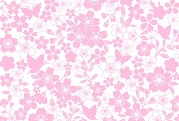 桜　ポストカード