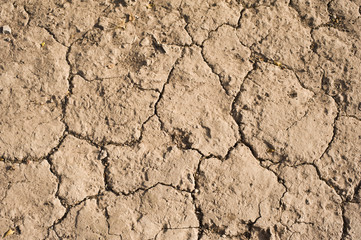 dry land background