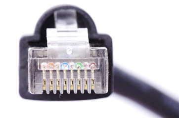 network connection plug