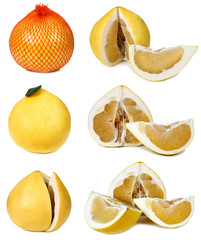 pomelo grapefruit