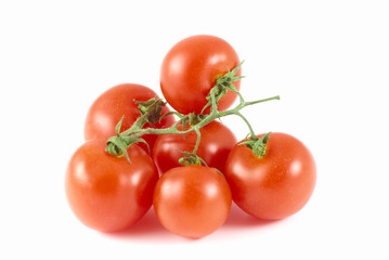 bio tomato