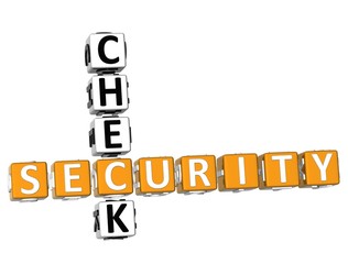 Security Check Crossword