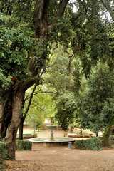 villa Borghese - giardini