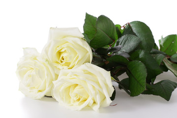Three white roses.