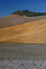 Naklejka premium Crete Senesi, Siena: landscape of hills with fields of grain.