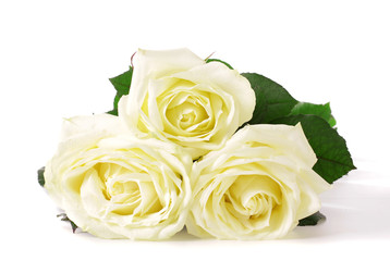 Three white roses.