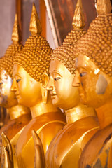 Row of golden Buddha