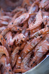 crevettes gambas fruits de mer crustacés cuisine gastronomie