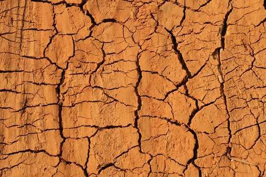 Cracked Ground