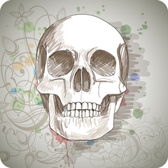 Skull sketch & floral calligraphy ornament - a stylized orchid,