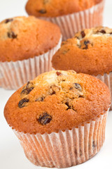 Muffins on a white background