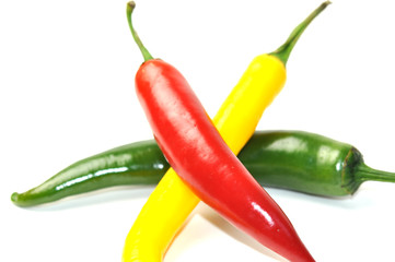 Chili isoliert. Farbig