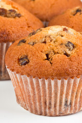 Muffins on a white background