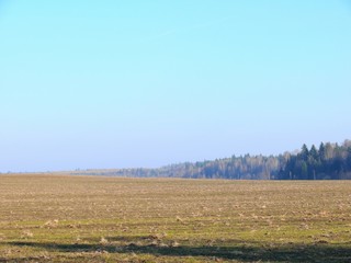 Obraz premium Stubble field. Sky.